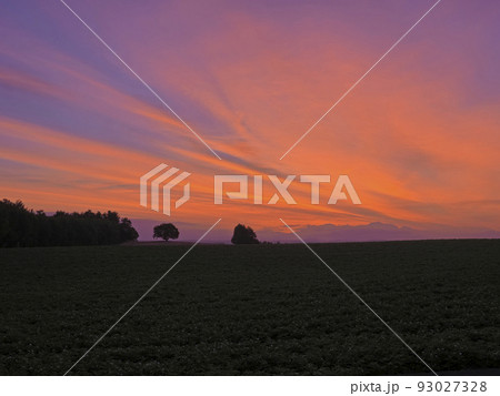 朝焼けの丘 93027328