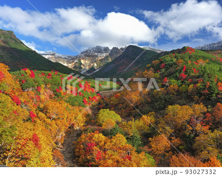 紅葉の十勝岳 93027332