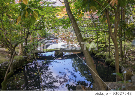 南禅寺　天授庵の紅葉 93027348
