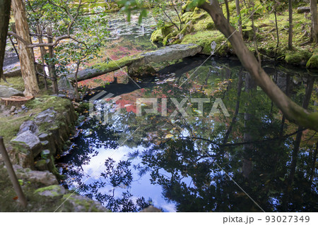 南禅寺　天授庵の紅葉 93027349