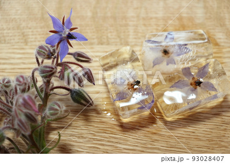 瑠璃色のボリジの花のアイスキューブ 93028407