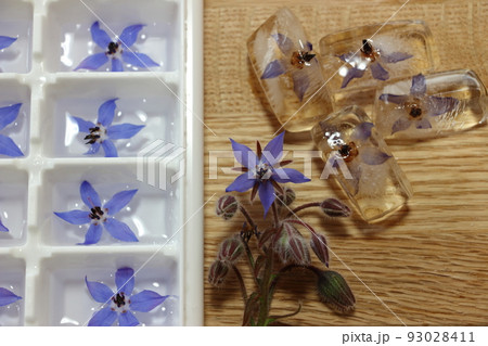瑠璃色のボリジの花のアイスキューブ 瑠璃色のボリジの花のアイスキューブ 93028411