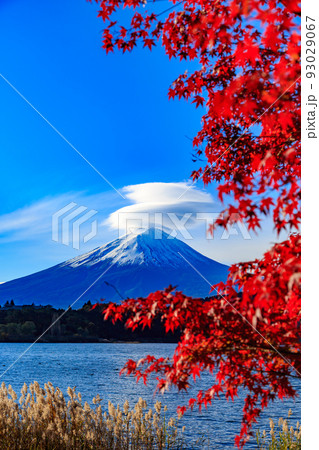 秋の山梨県　河口湖付近の紅葉　留守ヶ岩浜から見た富士山 93029067