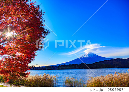 秋の山梨県 河口湖付近の紅葉 留守ヶ岩浜から見た富士山 秋の山梨県 河口湖付近の紅葉 留守ヶ岩浜から見た富士山 93029074