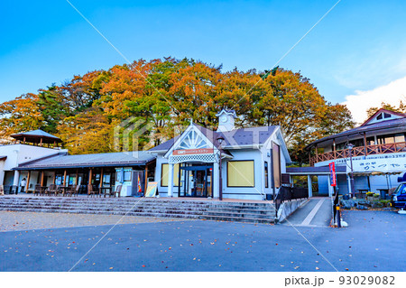秋の山梨県　河口湖付近の紅葉　道の駅 かつやま 93029082