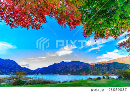 秋の山梨県　河口湖付近の紅葉　小海公園 93029087