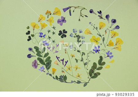 可愛い野の花の押し花アート 93029335
