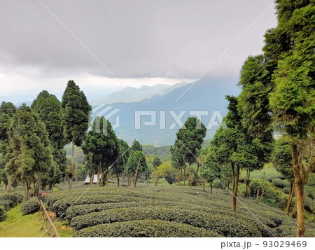 南投 プーリー 埔里 93029469