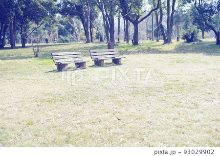 公園のベンチ　オールドレンズ 93029902