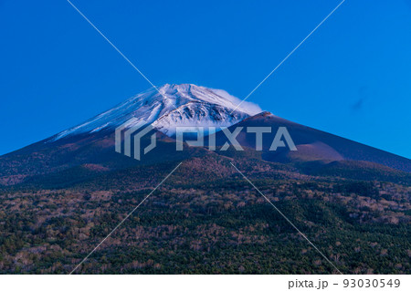 （静岡県）水ヶ塚公園から、紅葉・雪化粧した富士山　夜明け前 93030549