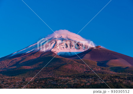 （静岡県）水ヶ塚公園から、紅葉・雪化粧した富士山　夜明け前 93030552