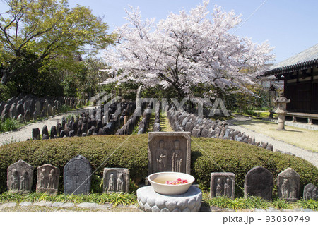 元興寺 浮図田 元興寺 浮図田 93030749