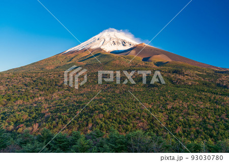 (静岡県)水ヶ塚公園から、紅葉・雪化粧した富士山 夜明け (静岡県)水ヶ塚公園から、紅葉・雪化粧した富士山 夜明け 93030780