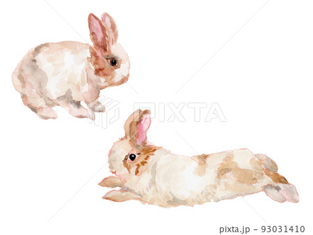 うさぎの水彩イラスト うさぎの水彩イラスト 93031410