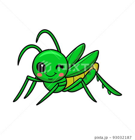 Cute little mantis cartoon character	 93032187