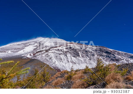 (静岡県)富士山初冠雪・カラマツの紅葉が美しい宝永山遊歩道から見上げる、富士山頂 (静岡県)富士山初冠雪・カラマツの紅葉が美しい宝永山遊歩道から見上げる、富士山頂 93032387