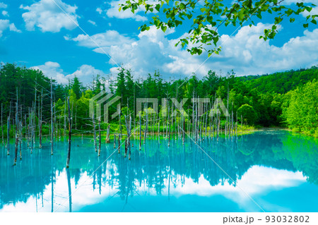 北海道　美瑛町の白金青い池 93032802