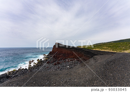 新鼻新山　三宅島 93033045