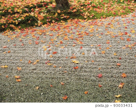 枯山水に散る紅葉 93033431