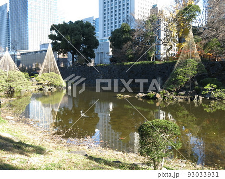 雪吊りが冬場に見られる日比谷公園の心字池 雪吊りが冬場に見られる日比谷公園の心字池 93033931