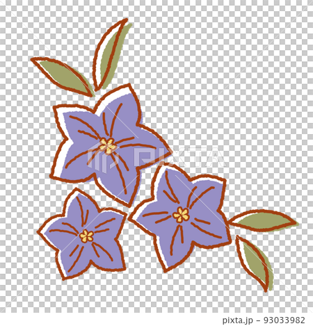 可愛的手繪風鈴草 93033982