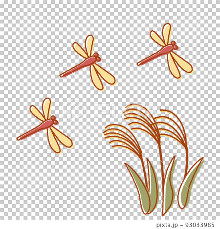 秋天可愛的一點紅蜻蜓和蒲葦 秋天可愛的一點紅蜻蜓和蒲葦 93033985