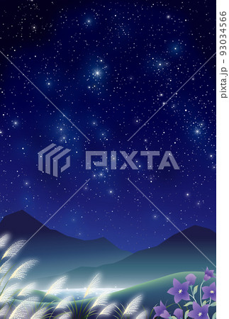 秋 夜空 桔梗 ススキ 野原 秋 夜空 桔梗 ススキ 野原 93034566