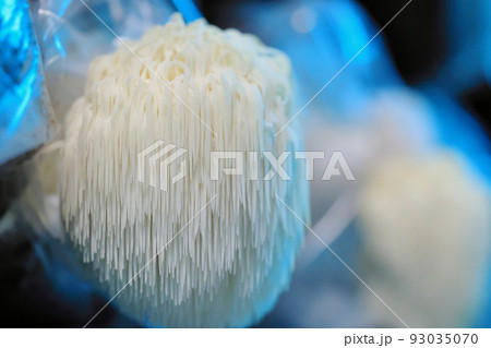 自然 天然 ナチュラル 93035070