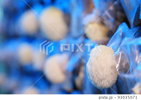 自然 天然 ナチュラル 93035071