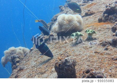 戦艦 はしけ 艀 93035083