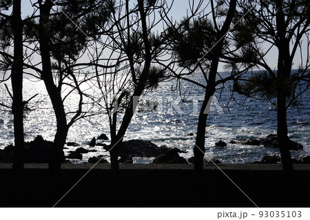 夕暮れの室戸沖にキラキラ光る海 夕暮れの室戸沖にキラキラ光る海 93035103