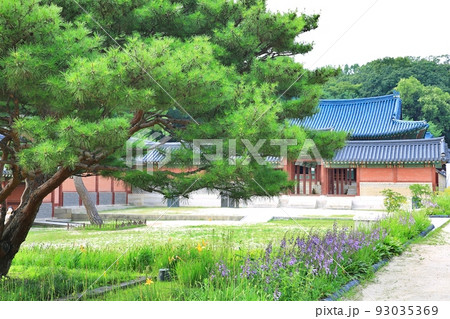 私的 ランドマーク 空 93035369