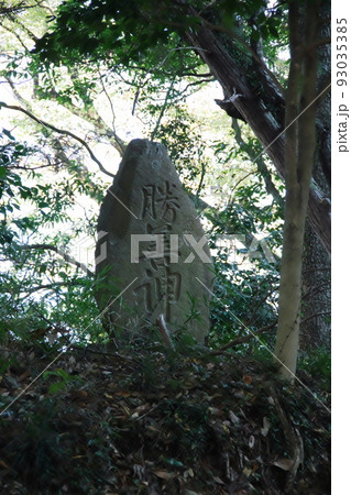 羽黒神社の「勝善神」 羽黒神社の「勝善神」 93035385