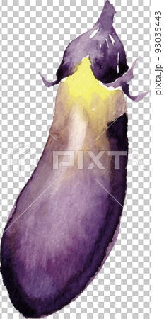 茄子の水彩画 93035443