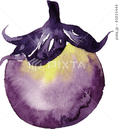 茄子の水彩画 93035444