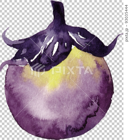 eggplant watercolor 93035444