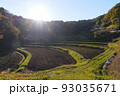 入郷石畑の棚田 93035671