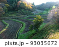 入郷石畑の棚田 93035672