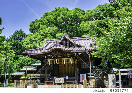 東京都 代々木八幡宮 拝殿 東京都 代々木八幡宮 拝殿 93035772