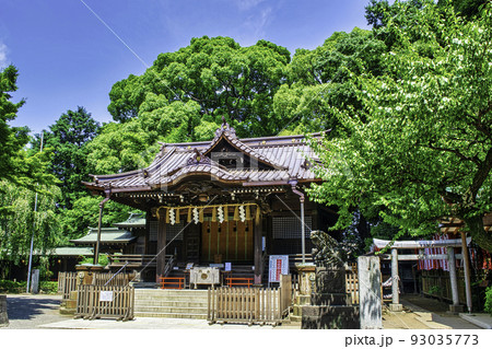 東京都　代々木八幡宮　拝殿 93035773