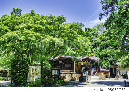 東京都　代々木八幡宮　拝殿 93035775
