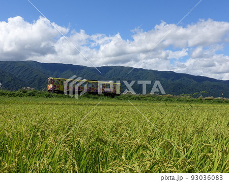 フラワー長井線　秋　稲穂 93036083