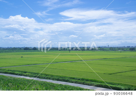 埼玉県さいたま市付近 荒川土手からの風景 埼玉県さいたま市付近 荒川土手からの風景 93036648