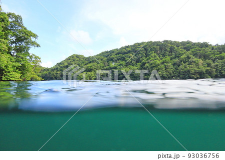 ジェリーフィッシュレイク 景色 風景 93036756