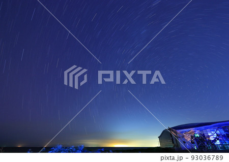 星空 ホシゾラ 水族館 93036789