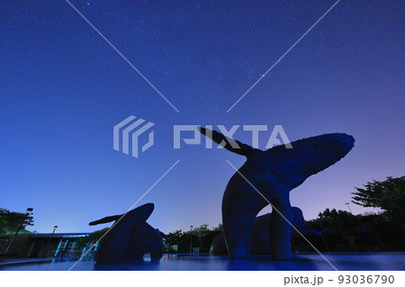 星空 ホシゾラ 水族館 93036790
