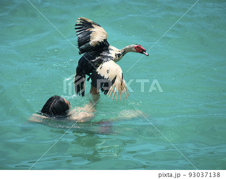 糸満ハーレー　アヒル取り　沖縄県糸満市 93037138