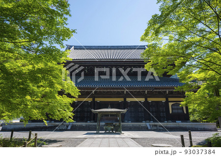 京都　南禅寺の法堂と新緑 93037384