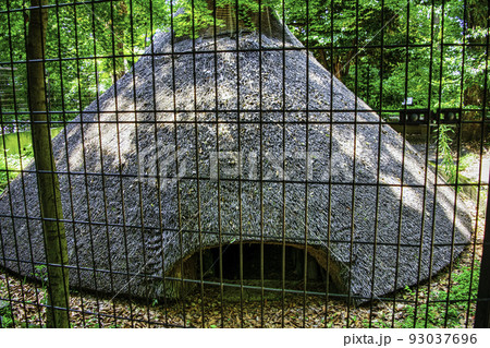 東京都　代々木八幡宮境内　代々木八幡遺跡（縄文時代竪穴式住居） 93037696