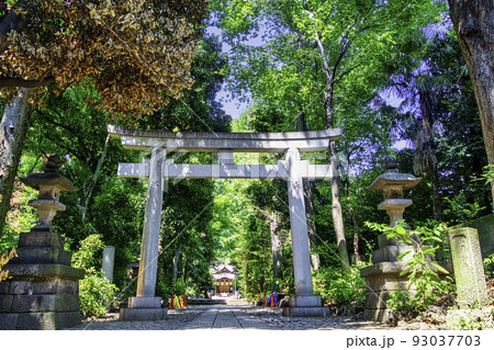 東京都 代々木八幡宮境内 代々木八幡遺跡(縄文時代竪穴式住居) 東京都 代々木八幡宮境内 代々木八幡遺跡(縄文時代竪穴式住居) 93037703